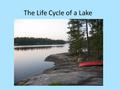 The Life Cycle of a Lake. Water Chemistry Basics Water freezes at 0° Celsius (32° Fahrenheit) Most substances get more dense as they get colder and less.