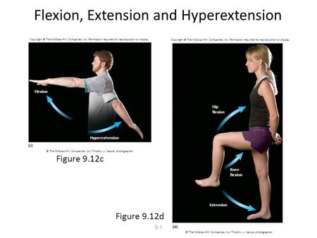 9-1 Flexion, Extension and Hyperextension Figure 9.12c Figure 9.12d Copyright © The McGraw-Hill Companies, Inc. Permission required for reproduction or.