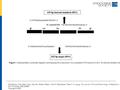 Figure 1. Representative schematic diagram summarizing the construction of a competitive PCR primer for uPA. An internal standard fragment was constructed.