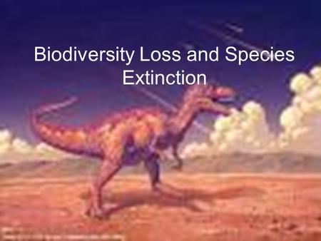 Biodiversity Loss and Species Extinction. Extinction vs. Extirpation Extinction occurs when the last member of a species dies and the species ceases to.