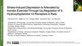 Stress-Induced Depression Is Alleviated by Aerobic Exercise Through Up-Regulation of 5- Hydroxytryptamine 1A Receptors in Rats Interna tional Neurourology.