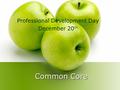 Common Core Common Core Professional Development Day December 20 th.