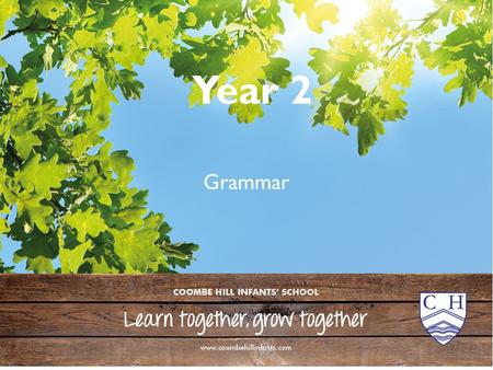 Year 2 Grammar. Year 2 Grammar 1 2 3 4 5 The brown dog ran quickly.