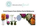 Fresh Flowers From Online Florist Melbourne. Who We Are Melbourne Florist 100% Melbourne based, Australian owned and operated florist business with 30.