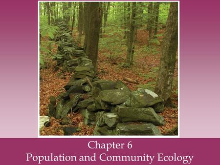 Chapter 6 Population and Community Ecology. Nature exists at several levels of complexity.