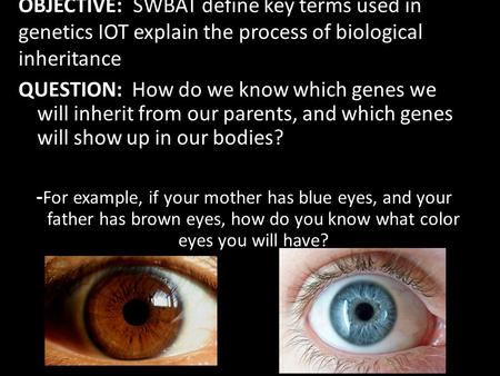 OBJECTIVE: SWBAT define key terms used in genetics IOT explain the process of biological inheritance QUESTION: How do we know which genes we will inherit.