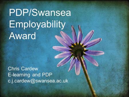 PDP/Swansea Employability Award Chris Cardew E-learning and PDP