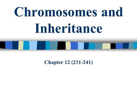 Chromosomes and Inheritance Chapter 12 (231-241).