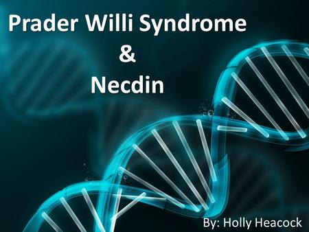 Prader Willi Syndrome & Necdin