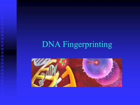 DNA Fingerprinting.