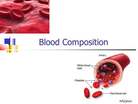 Blood Composition. Blood is a collection of different cells that moves around the body. Blood is made up of: Plasma Red Blood Cells White Blood cells.