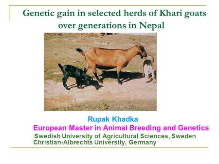 Genetic gain in selected herds of Khari goats over generations in Nepal Rupak Khadka European Master in Animal Breeding and Genetics Swedish University.