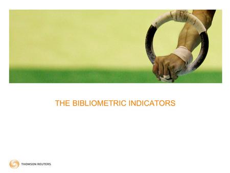 THE BIBLIOMETRIC INDICATORS. BIBLIOMETRIC INDICATORS COMPARING ‘LIKE TO LIKE’ Productivity And Impact Productivity And Impact Normalization Top Performance.