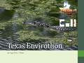 Texas Envirothon Spring 2016 | Texas Environmental Institute of Houston.