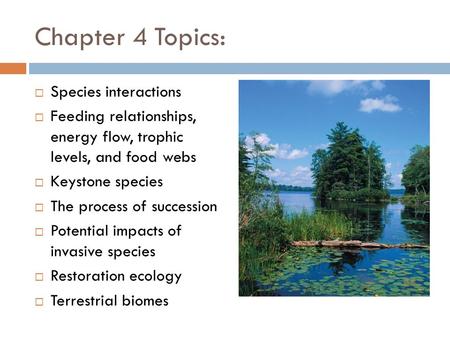 Chapter 4 Topics:  Species interactions  Feeding relationships, energy flow, trophic levels, and food webs  Keystone species  The process of succession.