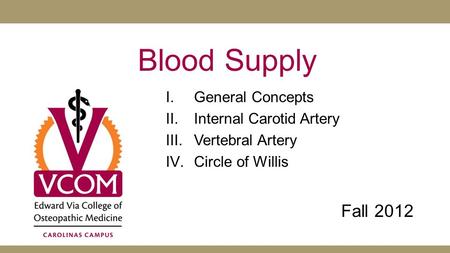 Blood Supply Fall 2012 General Concepts Internal Carotid Artery