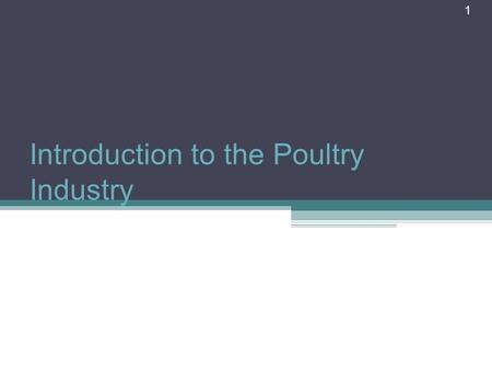 1 Introduction to the Poultry Industry. What is Poultry? Poultry is a term for domesticated fowl, particularly focusing on the species valued for their.