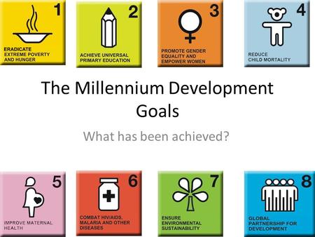 The Millennium Development Goals What has been achieved?