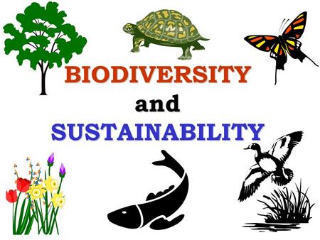 BIODIVERSITY and SUSTAINABILITY. Outline What is biodiversity? What is sustainability? How does biodiversity contribute to sustainability?