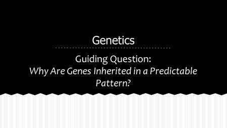 Genetics Guiding Question: Why Are Genes Inherited in a Predictable Pattern?