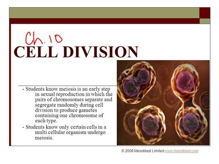 CELL DIVISION © 2006 Mesoblast Limited www.mesoblast.comwww.mesoblast.com - Students know meiosis is an early step in sexual reproduction in which the.