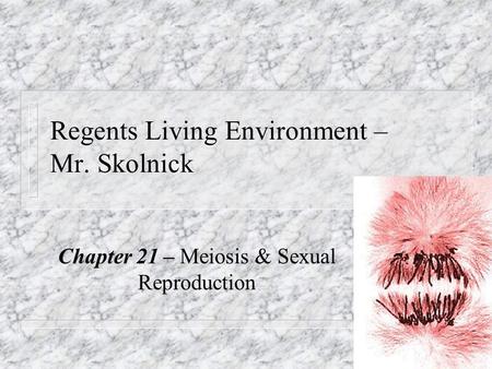 Regents Living Environment – Mr. Skolnick Chapter 21 – Meiosis & Sexual Reproduction.