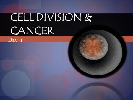 CELL DIVISION & CANCER Day 1. Objectives Discuss the results, advantages and disadvantages of asexual and sexual reproduction. Explain how cell division.