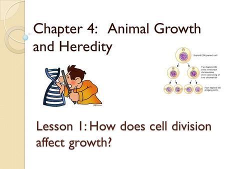 Lesson 1: How does cell division affect growth?