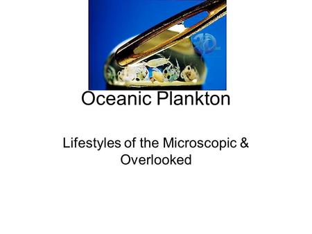 Oceanic Plankton Lifestyles of the Microscopic & Overlooked.