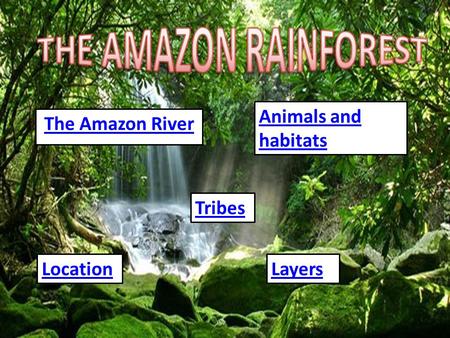 The Amazon River Tribes LocationLayers Animals and habitats.