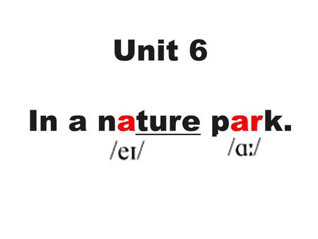 Unit 6 In a nature park.. hill 小山 forest 森林 lakelake 湖.