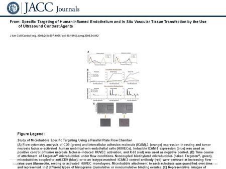 Date of download: 6/25/2016 Copyright © The American College of Cardiology. All rights reserved. From: Specific Targeting of Human Inflamed Endothelium.