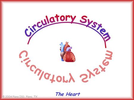 © 2004 Plano ISD, Plano, TX The Heart. © 2004 Plano ISD, Plano, TX How many times a day does your heart beat? a. over 10,000 times b. over 100,000 times.