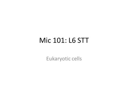 Mic 101: L6 STT Eukaryotic cells. Eukaryotes The Eukaryotic Cell = “true nucleus” algae, protozoa, fungi, plants and animals up to 100μm variable sizes.