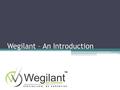 Wegilant – An Introduction. Wegilant Net Solutions Pvt. Ltd., Mumbai Who we are? Wegilant is a youthful initiative of IIT Bombay’s Student & IIM Alumnus.