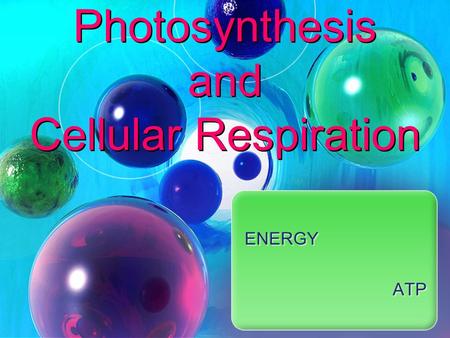 Photosynthesis and Cellular Respiration