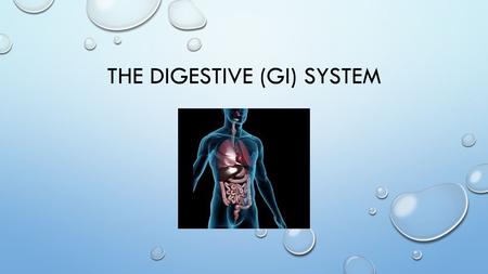 THE DIGESTIVE (GI) SYSTEM. THE DIGESTIVE SYSTEM IS ALSO KNOWN AS THE “GI— GASTROINTESTINAL SYSTEM” IT IS RESPONSIBLE FOR THE PHYSICAL AND CHEMICAL BREAKDOWN.