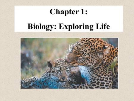 Chapter 1: Biology: Exploring Life What is Biology? The study of life or living organisms.