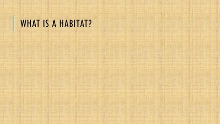 WHAT IS A HABITAT?. WHERE AN ANIMAL LIVES WHAT IS A PREDATOR? WHAT IS PREY? A predator is an animal that lives by killing and eating other animals. Prey.