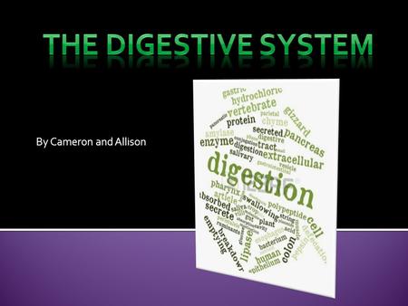 By Cameron and Allison  A group of organs working together to convert food into energy and basic nutrients to feed the entire body  Pretty cool, right?