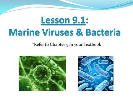 Lesson 9.1: Marine Viruses & Bacteria