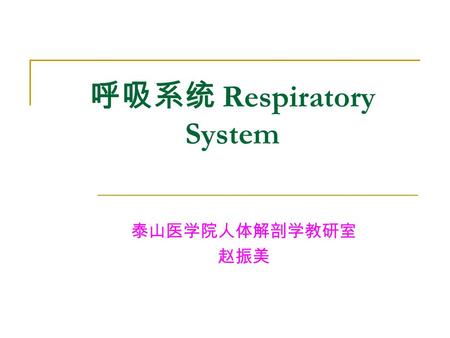 呼吸系统 Respiratory System