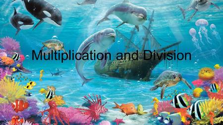 Multiplication and Division. Question One 4x12=?? A.4848 B.2424 C.1818 D.4444.