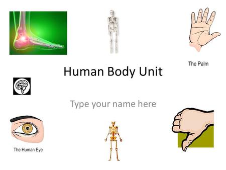 Human Body Unit Type your name here. Models of Muscles Use these to answer the questions on slides 3, 4, and 5.