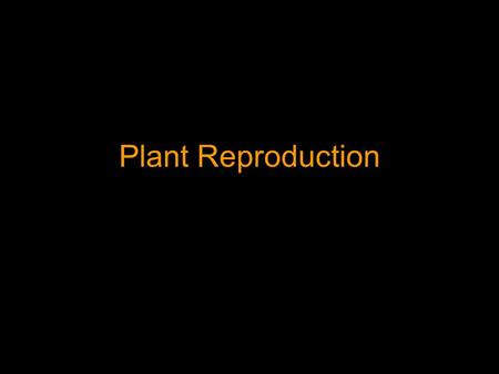 Plant Reproduction. Flower Anatomical Terms The male Stamen is composed of a Filament and Anther The female Carpel (or Pistil) is composed of the Stigma,