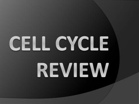 Metaphase Interphase (S) DNA replicates Anaphase.