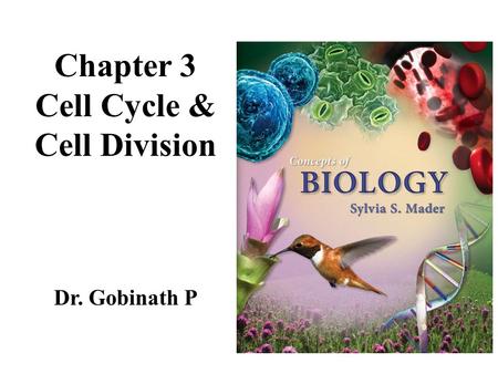 Chapter 3 Cell Cycle & Cell Division Dr. Gobinath P.