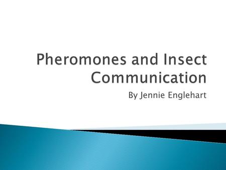 Pheromones and Insect Communication