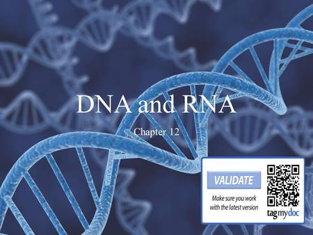 DNA and RNA Chapter 12 DNA was not isolated from cells until the 1800s 1929 – 3 major components were identified 1940s – base pairs occur in equal amounts.