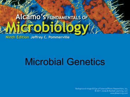 Microbial Genetics.